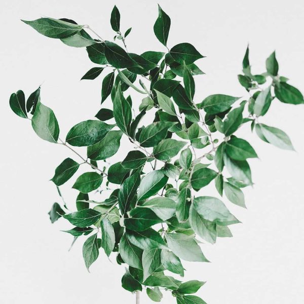Planta de Aluminio